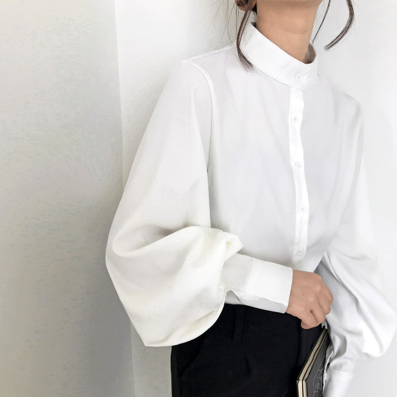 Big Lantern Sleeve Blouse