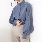 Big Lantern Sleeve Blouse