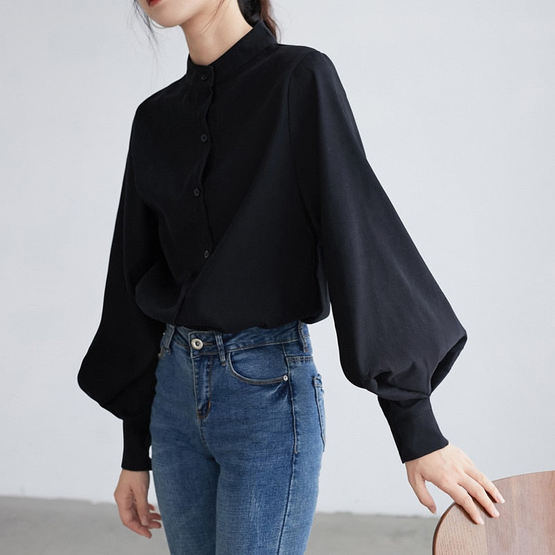 Big Lantern Sleeve Blouse